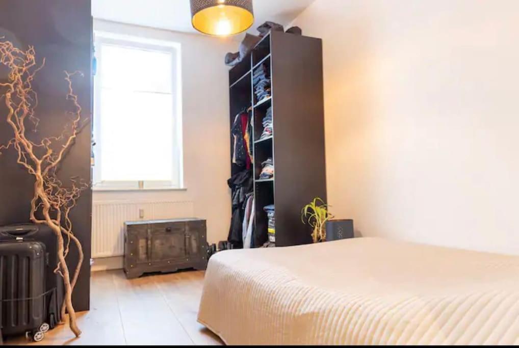 Design Apartment Im Zentrum Von Nienburg! Нинбург Екстериор снимка